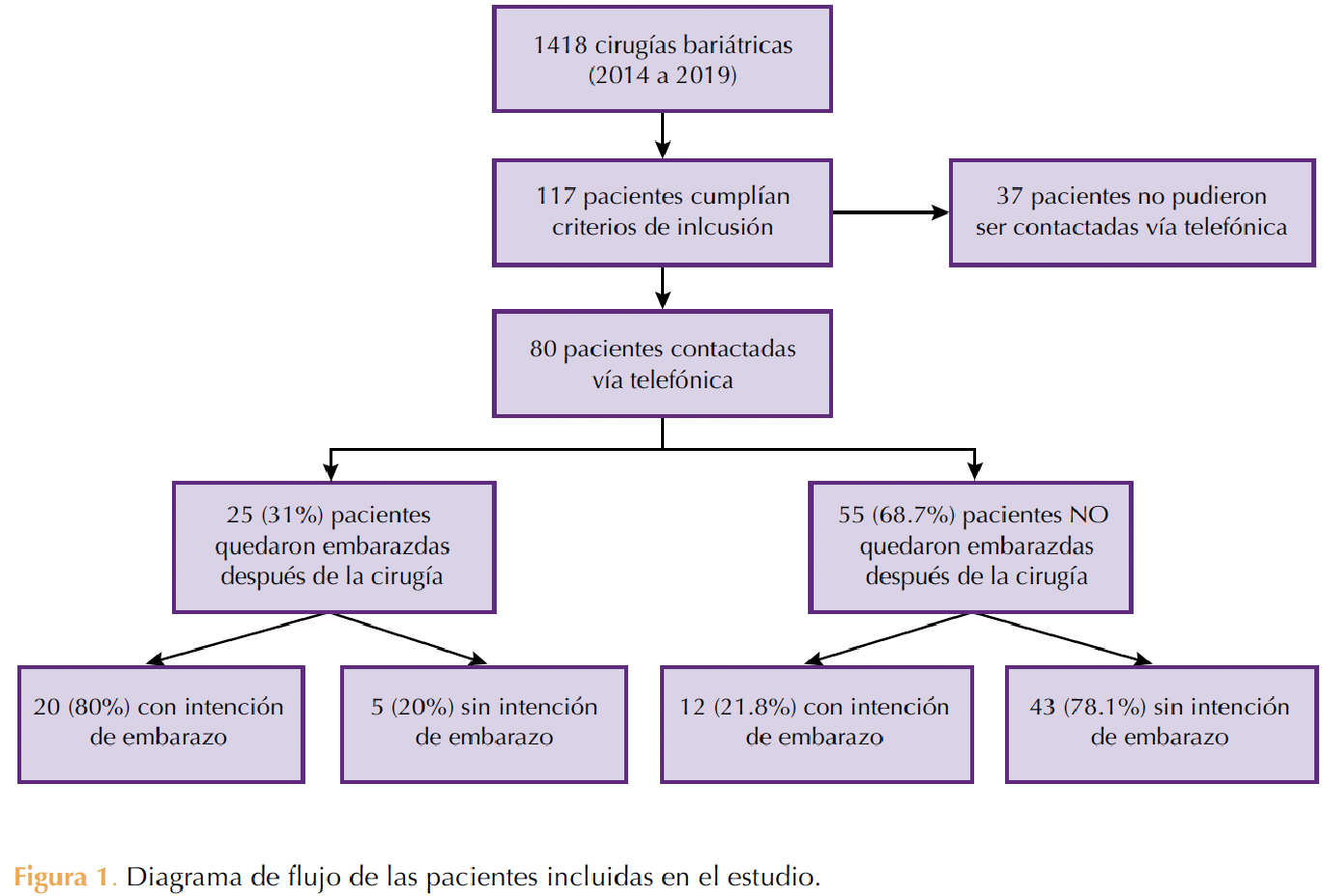 Figura 1