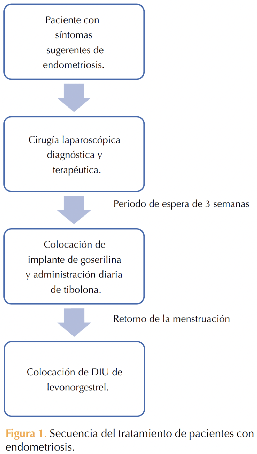 Figura 1