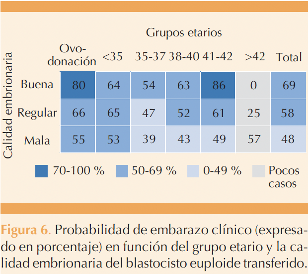 Figura 6