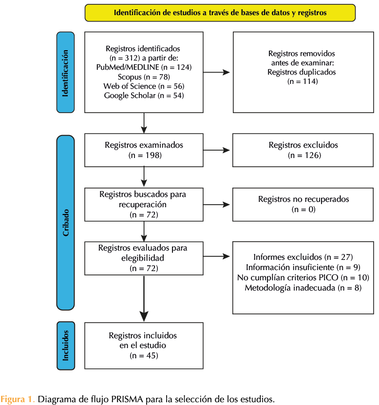 Figura 1